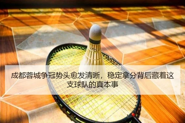 成都蓉城争冠势头愈发清晰，稳定拿分背后藏着这支球队的真本事 - FS